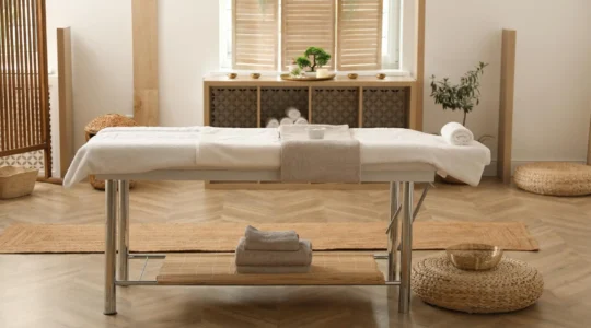 table de massage électrique.png